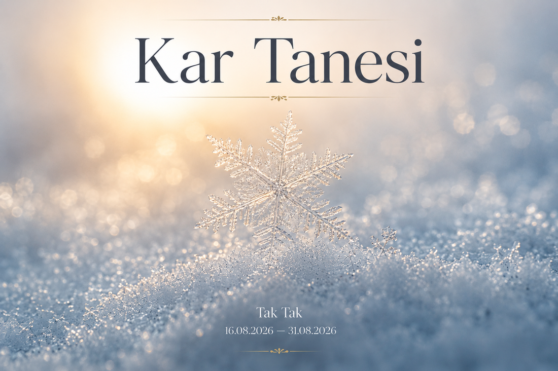 Kar Tanesinin Hikayesi