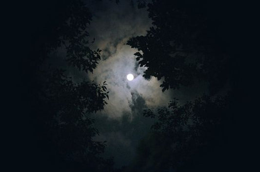 Gece